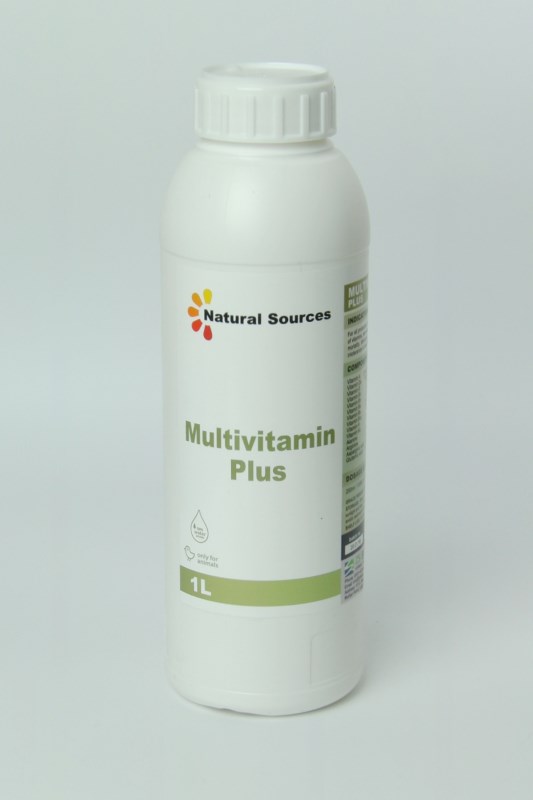 NS Multivitamin plus